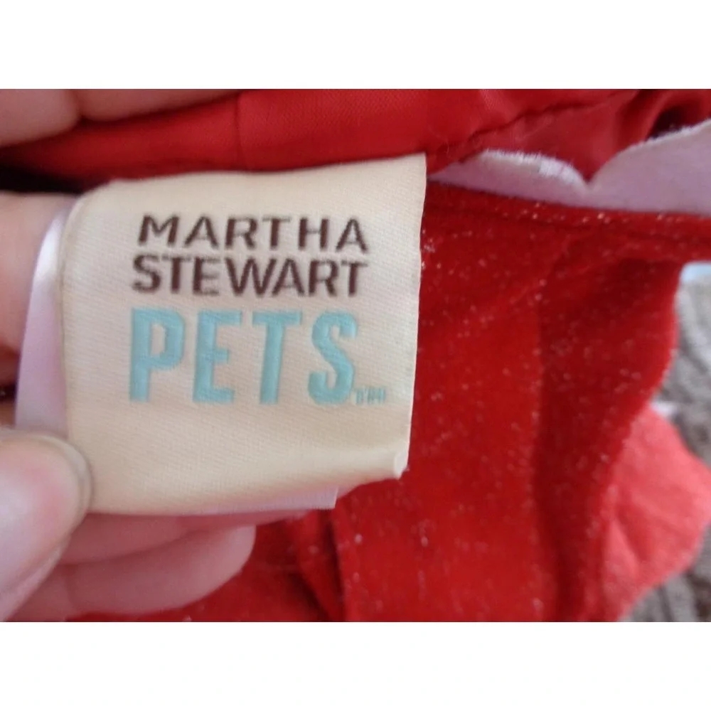 Martha Stewart Dog Pet Red Dinosaur Lizard Large Costume